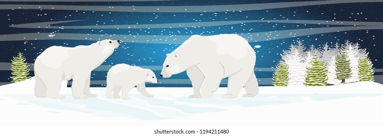 Two adult white polar bear and cub walks through the snow. Mother, father and child. A family. Spruce forest and plains. Starry night in the North. Landscapes of the Arctic.