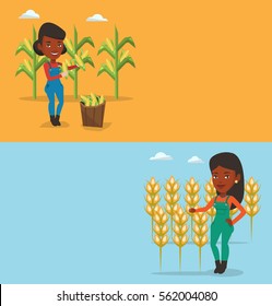 Two agricultural banners with space for text. Vector flat design. Horizontal layout. Farmer standing on the background of wheat field. Farmer working in wheat field. Farmer checking wheat harvest.