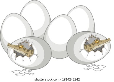 Two alligators just out of egg with other eggs isolated on white background illustration