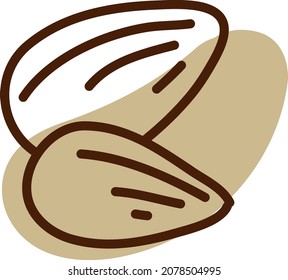 Zwei Mandelnüsse, Illustration, Vektorgrafik, auf weißem Hintergrund.
