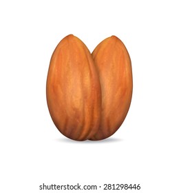 Two almonds isolated on white. EPS10 vector