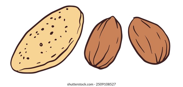 two almonds in a simple, hand-drawn style, with brown tones against a white background. Ideal for food packaging, recipe cards, or educational materials highlighting the almond's significance.