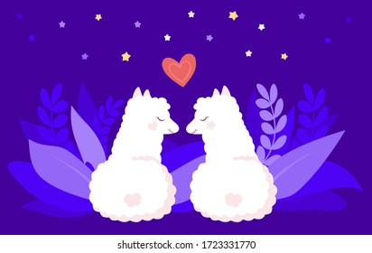 Two alpacas or llamas, romantic night of love. Funny flat cartoon character, smiling animal. Cute white children llamas with hearts and stars. Isolated on blue background, vector illustration