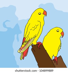 Two Amazon Parrots