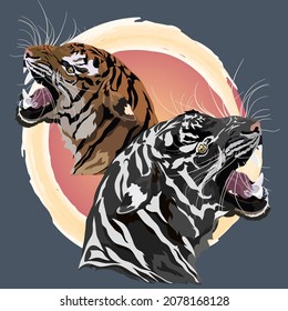 Two Amur tigers in the background of the sun