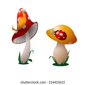 Two amusing mushrooms with a ladybird and a leaf on their hats.