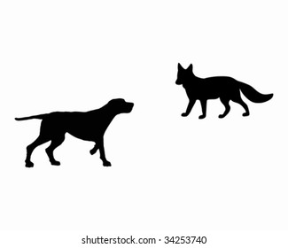 Two animals, setter and fox meet face to face