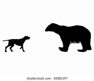 Two animals, setter and ice bear meet face to face