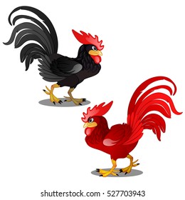 Two Animated Cartoon Rooster Black And Red Isolated On White Background. Vector Cartoon Close-up Illustration.