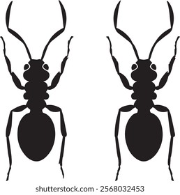 Two Ant Silhouette Vector With White Background Vol - 1 ,Vector illustration of a black silhouette ant, silhouette of insect ant