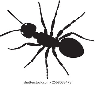 Two Ant Silhouette Vector With White Background Vol - 4 ,Ant Silhouette for Art Illustration ,Design Element. Vector Illustration