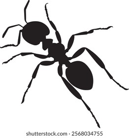 Two Ant Silhouette Vector With White Background Vol - 8 ,ant silhouette vector illustration ,Queen Ant Icon , cute ant silhouette vector