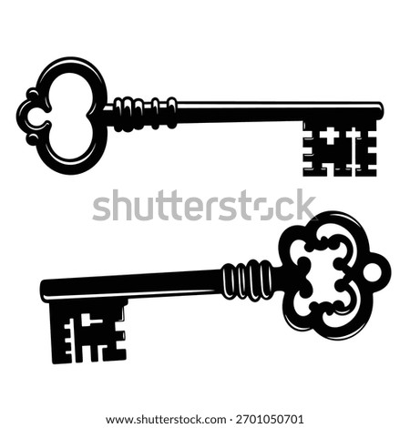 Two antique vintage skeleton keys silhouette icon Vector, illustration