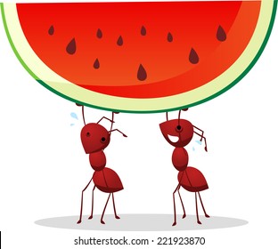 Two ants carrying a green and red watermelon with seeds, vector illustration.