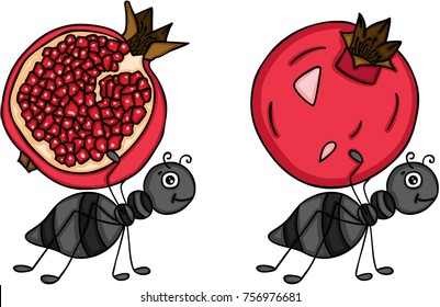 Two ants carrying pomegranate