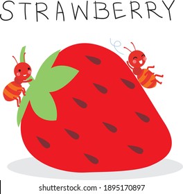 Two ants holding strawberry,Cute cartoon ant vector collection for kids, cartoon ant in flat style isolated on white background. Wild animal,cute ant cartoon for background, card, Book, poster
