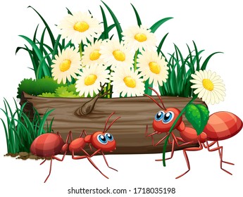 Two ants in nature illustration