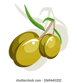 Two appetizing green olives. Branch fruits. Fruits, vegetables. Leaflets. Whole silhouette is depicted in backdrop of shadow. Salad, delicatessen
Modern vector flat image isolated on white background.