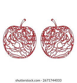 two Apples Hand Drawn vocter color background