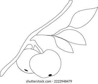 dos manzanas en rama con hojas