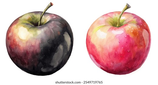 Two apples, one black and one red, are painted on a white background. The black apple is larger and has a more intense color, while the red apple is smaller and has a more delicate color