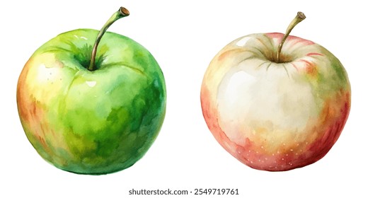 Two apples, one green and one red, are shown side by side. The green apple is larger and has a stem, while the red apple is smaller and has a stem as well. The apples are painted in watercolor