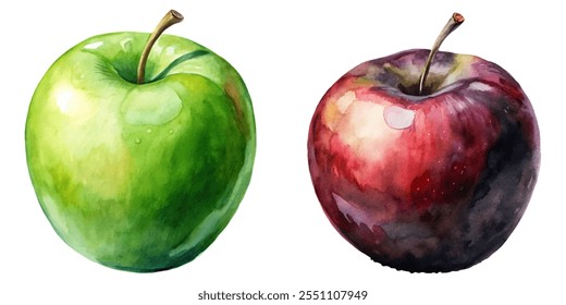 Two apples, one green and one red, are painted on a white background. The green apple is larger and has a stem, while the red apple is smaller and has a stem as well