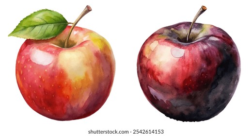 Two apples, one red and one green, with a leaf on top. The red apple is larger and has a more vibrant color, while the green apple is smaller and has a more muted color