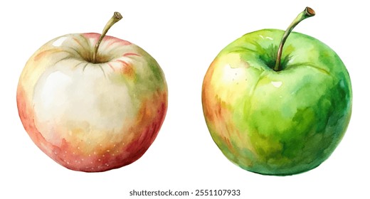 Two apples, one red and one green, are shown side by side. The red apple is slightly larger than the green one