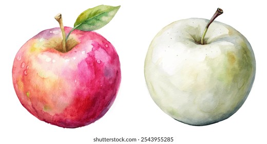 Two apples, one red and one white, are painted on a white background. The red apple is larger and has a stem, while the white apple is smaller and has a stem as well