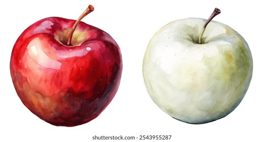 Two apples, one red and one white, are painted on a white background. The red apple is larger and has a stem, while the white apple is smaller and has a stem as well