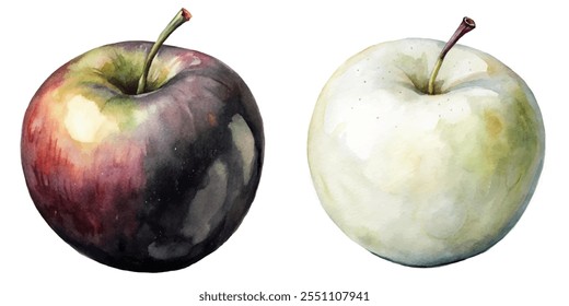 Two apples, one red and one white, are painted on a white background. The red apple is larger and has a stem, while the white apple is smaller and has a stem as well