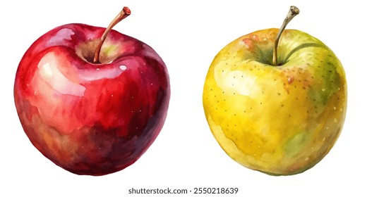 Two apples, one red and one yellow, are shown side by side. The red apple is larger and has a stem, while the yellow apple is smaller and has a stem as well. The apples are painted in watercolor