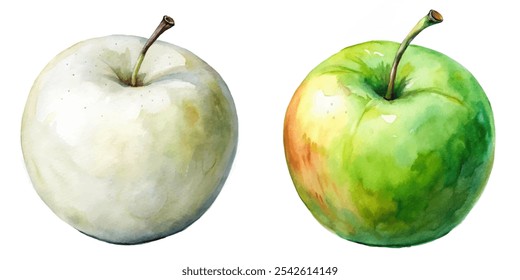 Two apples, one white and one green, are shown side by side. The white apple is slightly smaller than the green one