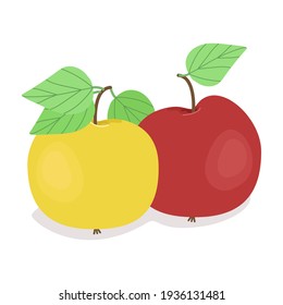 
Two apples, red and yellow apple, ripe juicy fruits, vector illustration in flat style.