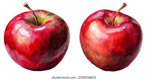 Two apples are shown in a painting, one of which is slightly larger than the other. The apples are red and shiny, and they are positioned next to each other on a white background