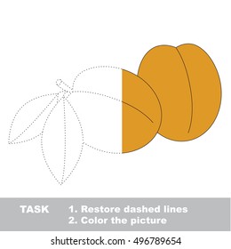 Two apricots in vector colorful to be traced. Restore dashed line and color the picture. Visual game for children. Worksheet to be colored.