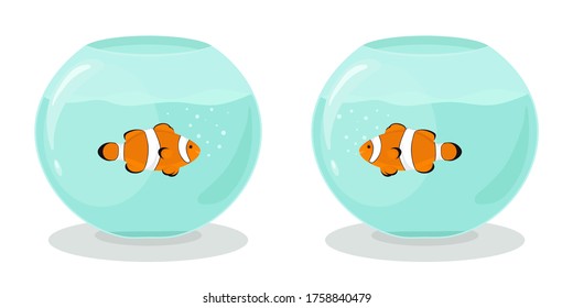 Two aquariums with clown fishes in flat style. Vector hand drawn illustration of tropical exotic fishes swimming in an aquarium. Fish love or friendship concept.