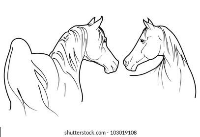 two arabian horses vector