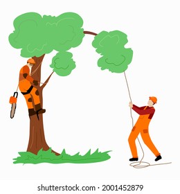Two arborist lumberjacks are sawing a tree. One with a saw on a rope, and the other pulls a branch on the ground.