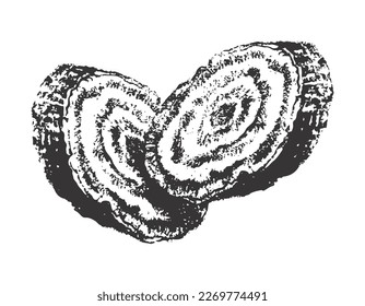 Two arrowroot tree cross section drawing illustration vector illustration