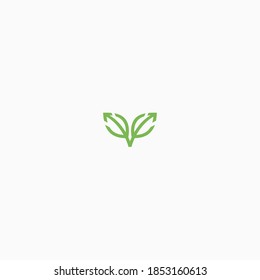 ilustración de dos flechas vectoriales vegetales