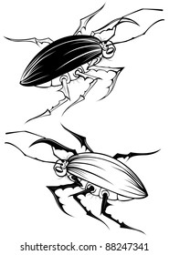 two artistically drawn, contour, scary beetle on white background.