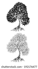 Two artistically drawn, outline tree on white background.
