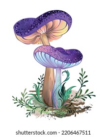 Two artistically drawn, realistic, ripe mushrooms with purple textured caps with green moss on white background. Fabulous mushrooms.