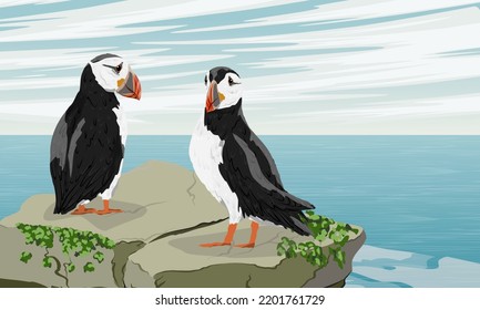 Two Atlantic puffins on a rock above the ocean. Scandinavian bird Fratercula arctica or common puffin. Realistic vector landscape