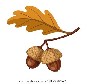 Two autumn acorns on oak branch with yellow leaf vector illustration. Isolated on white background.