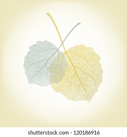  Two autumn leaves