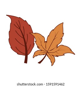 Two autumn leaves design, season nature ornament garden decoration and botany theme Vector illustration