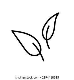 Two autumn leaves line art. Vector illustration in monochrome style
